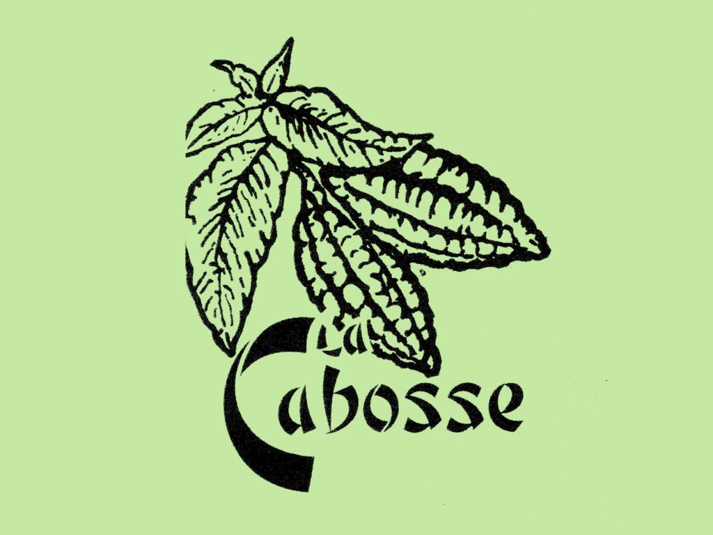Logo-noir-vert