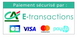 ca-e-transactions-cb-visa-mastercard
